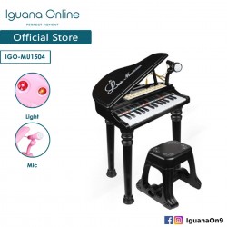 Iguana Online Miniature Learning Musical Electronic Organ Piano Keyboard with Recordable Microphone (Black)