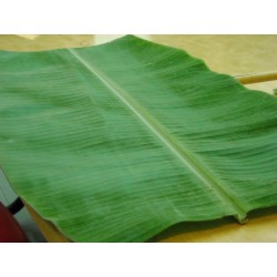 Fresh Vegetable Daun Pisang / Banana Leaf 500g