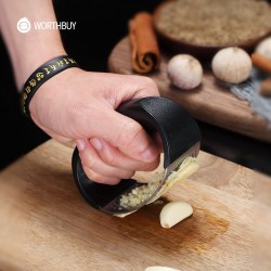 Stainless Steel Garlic Chopper Crusher (VIP Branded)