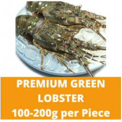 Premium Green Lobster (100-200g/piece)