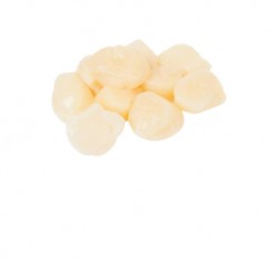 Sungtao XXXL Hokkaido Scallop U15 (1kg)