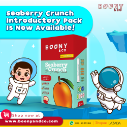 BoonY & Co Seaberry Crunch Introductory Pack (10 sachets/box)