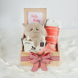 Baby’s First Bestie - GIRL