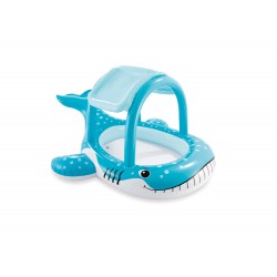 Intex Whale Shade Pool