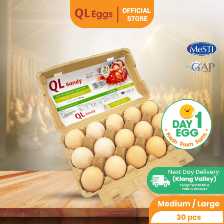 QL Day 1 Egg (SANDY) - M/L (20pcs/30pcs/40pcs) Fresh Egg Farm Fresh Egg Telur Segar