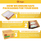 QL Day 1 Egg (OMEGA) - M/L (20pcs/30pcs/40pcs) Fresh Egg Farm Fresh Egg Telur Segar_226916