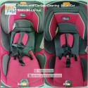 Baby Fabz Professional Car Seat Cleaning - Infant Car Seats (BF-CSI-04)