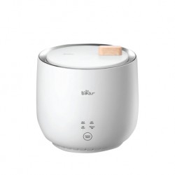 Bear egg teamer half boiled egg maker electric egg Boiler egg cooker BEB-W06