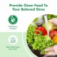 BerryC Veggie & Fruit Cleaner 500ml