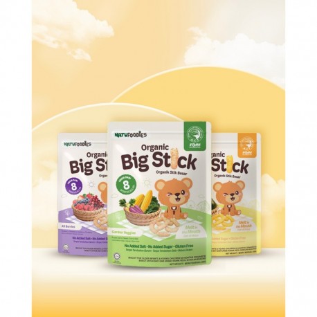 (Combo Pack Of 3) Natufoodies Organic Big Stick 20g