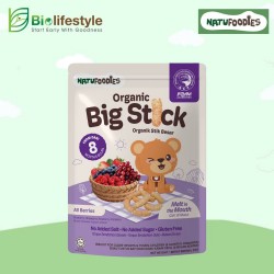 Natufoodies Organic Big Stick 20g - All Berries