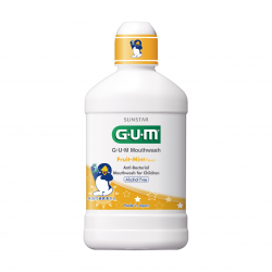 GUM Mouthwash Fruit Mint Flavor For Children 250ml