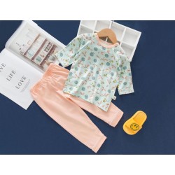 Earth Bebe 2pcs/Set Baby Shirt Set Cartoon Print Skin Friendly Kids Long Sleeve Tops Pants Kit (Mint)