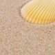 Cheekaaboo 100% Natural Beach Sand Play, Beach Fine Sand - 2kg