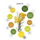 Yein&Young Helichrysum (Immortelle) - Essential Oil - 10ml