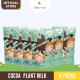 (Newest Batch) Dale & Cecil Miwakoko Chocolate Plant Milk (33g x 10's x 6)