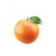 doTERRA Grapefruit Essential Oil - 15 mL