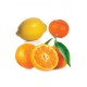 doTERRA Citrus Bliss Essential Oil - 15 mL