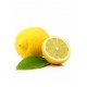doTERRA Lemon Essential Oil - 15 mL