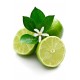 doTERRA Lime Essential Oil - 15 mL