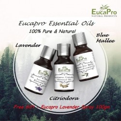 Eucapro 100% Pure Essential Oils 15ml (Combo)