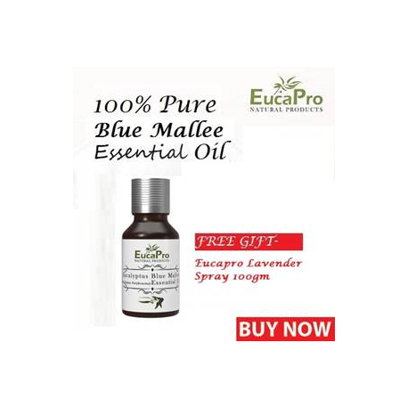 Eucapro Eucalyptus Blue Mallee Essential Oil 15ml