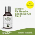 Eucapro Fir Needle Essential Oil (15ml) [Free Gift]