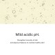 Abib Mild Acidic pH Sheet Mask Yuja Fit 30ml