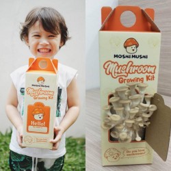 GogoKids Moshi Mushi Mushroom x 2 