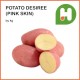 Fresh Indonesia Potato Desiree (Pink Skin) (1kg per pack)
