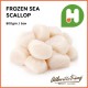 Frozen Sea Scallop 800gm (Sold Per Pack)