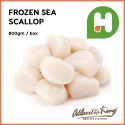 Frozen Sea Scallop 800gm (Sold Per Pack)