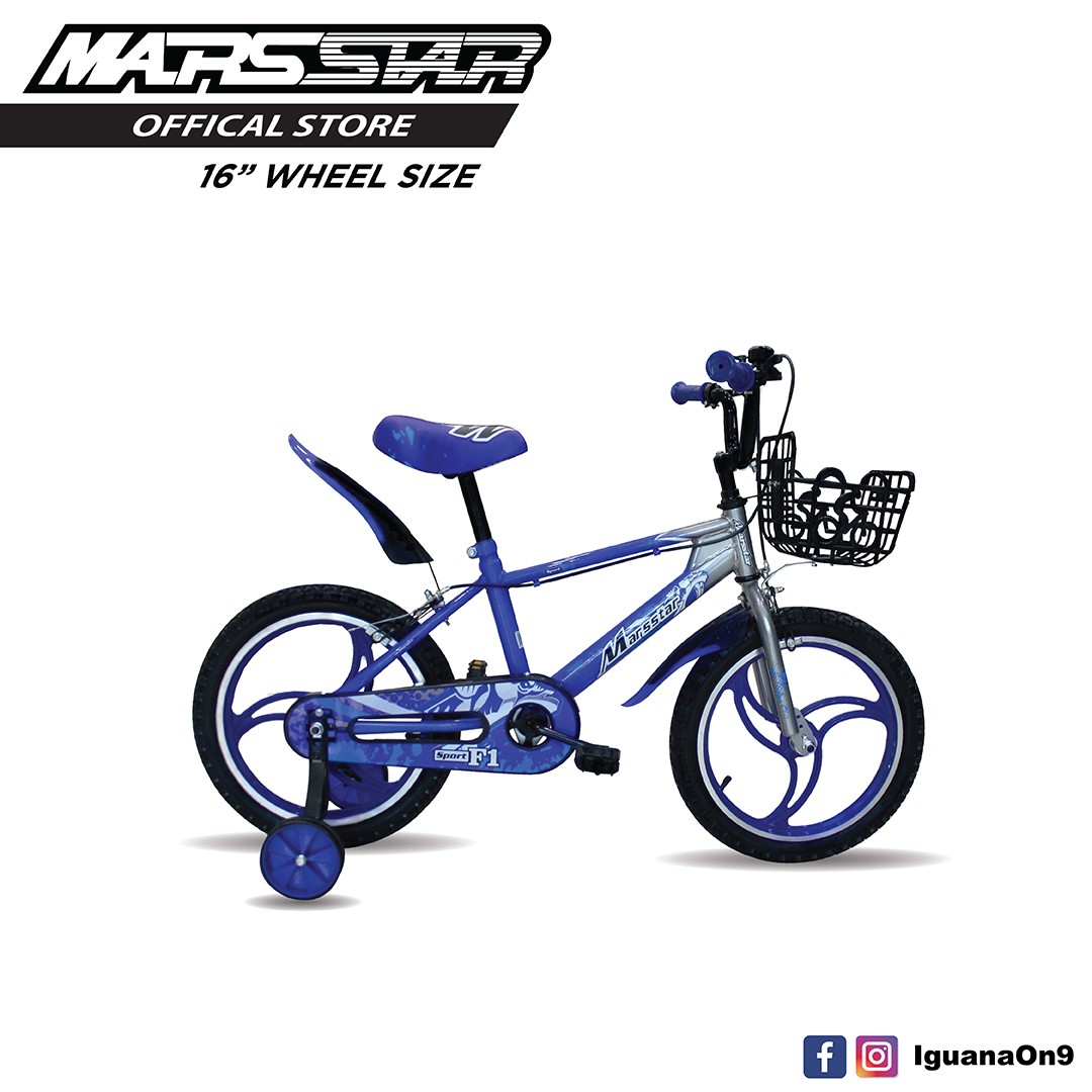 finding dory bike 16