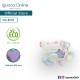 Iguana Online (9 units Rattles + Teether) BPA Free Lead Free Safe Baby Soft Rattle Teether Toys for Newborn