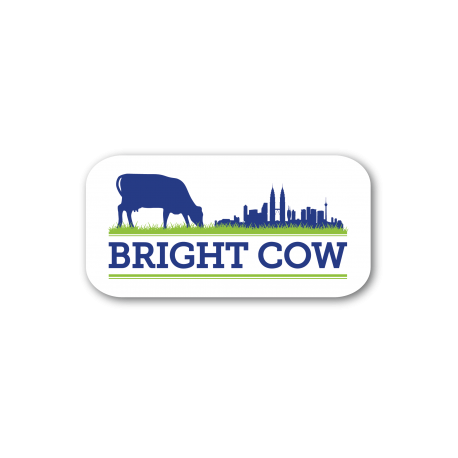 Bright Cow