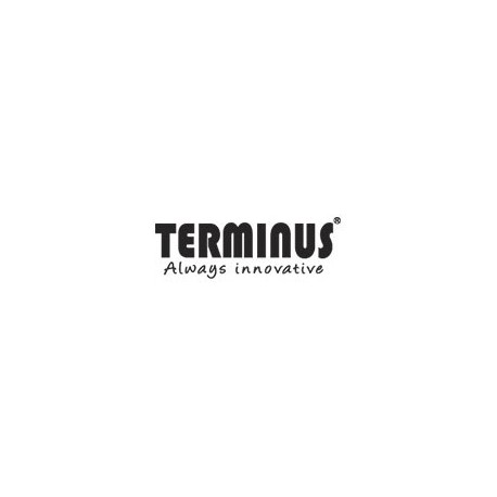 Terminus