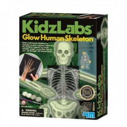 4M KidzLabs (Glow Human Skeleton)