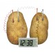 4M Green Science (Potato Clock)