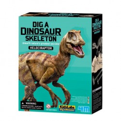 4M KidzLabs / (Dig a Velociraptor Skeleton)