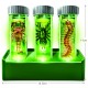 4M KidzLabs / Glow Critter Lab