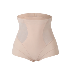 JOYLEE™ Noel High Waist Slimming Brief (Nude) -2pcs