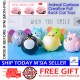 Little B House Cartoon Animal Pull Back Toy Car Fall Resistant Inertial Pull Back Car Mainan Mini - BT276