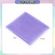 Little B House 2pcs Hair Magic Sticker Holder Front Hair Fringe Makeup Sticker Fringe Sticker Pelekat Rambut - FG01