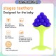 Little B House Fruit Silicone Baby Teether Toy BPA Free Teething Gel Teether Bayi Gigit Buah -TW20