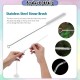[Little B House] Baby Bottle Brush Set Nipple Brush Milk Bottle Brush Cleaning Tools 奶瓶刷 奶嘴刷 Berus Botol Susu -TW34