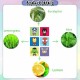 [Little B House] 36pcs Mosquito Patch Anti Mosquito Sticker Insect 防蚊贴 驱蚊贴 Pelekat Anti Nyamuk -BS16