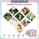 [Little B House] 36pcs Mosquito Patch Anti Mosquito Sticker Insect 防蚊贴 驱蚊贴 Pelekat Anti Nyamuk -BS16