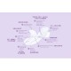 Amez Care 360mm Herbal Sanitary Pad – Long Night | Motherhood_191458