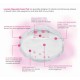 Lunavie Disposable Breast Pads