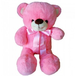 Maylee Sweet Big Plush Teddy Bear 60cm (Pink)